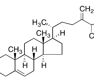 24-METHYLENECHOLOESTEROL