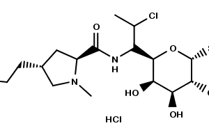 CLINDAMYCIN HCL