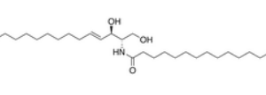 C18 CERAMIDE