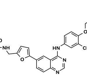 LAPATINIB D4