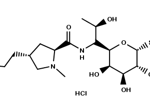 LINCOMYCIN HCL