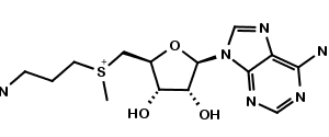 S-ADENOSYLMETHIONINAMINE