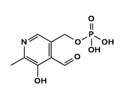 PYRIDOXAL 5′-PHOSPHATE