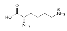 MAFOSFAMIDE L-LYSINE