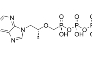 TENOFOVIR DIPHOSPHATE